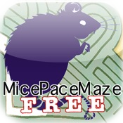 MicePaceMaze Squares Free