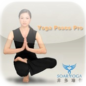 Yoga Poses 101