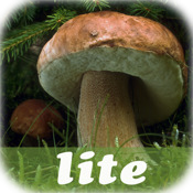 Nature Lexicon: Pilzführer Lite